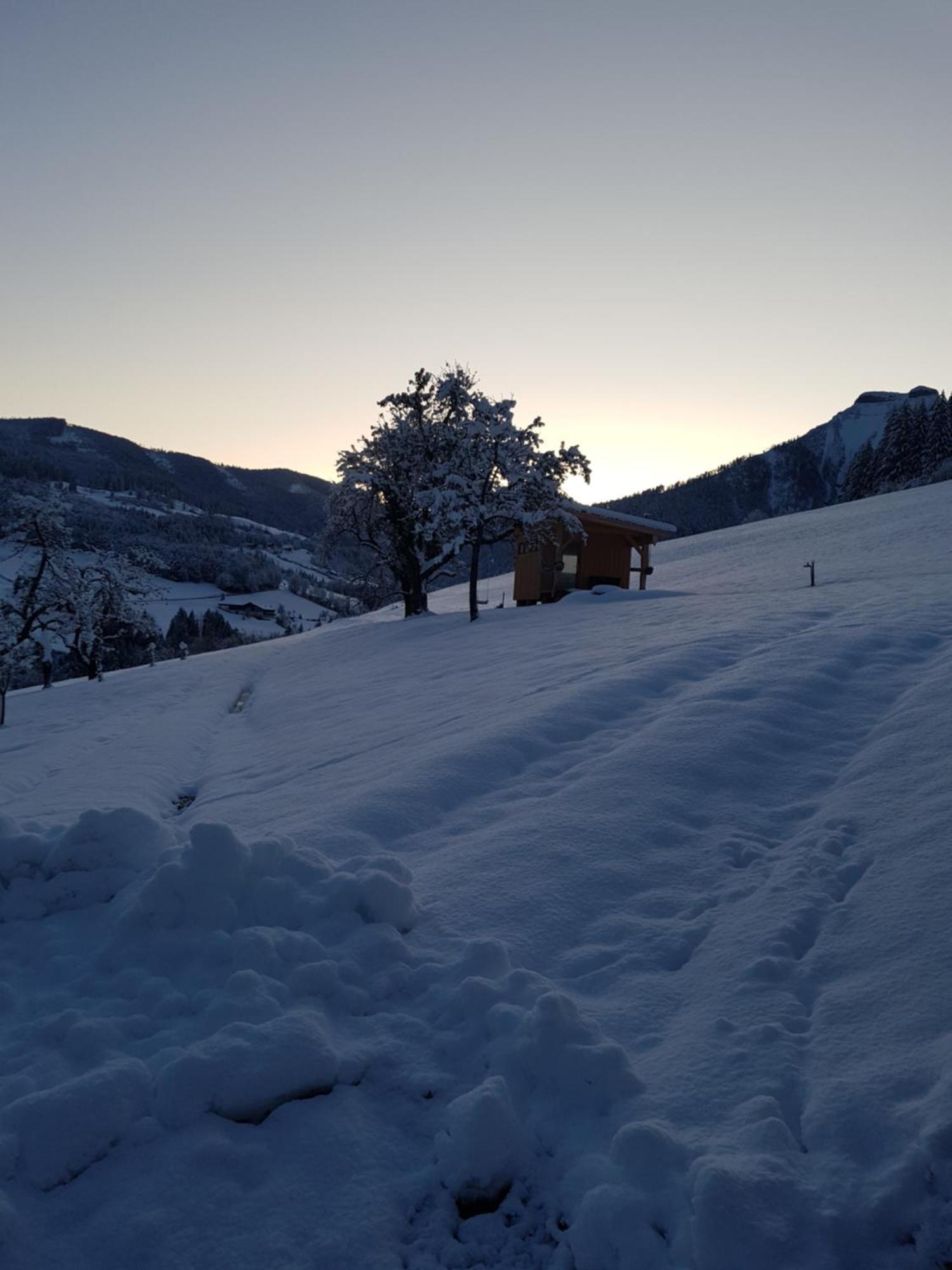 Reithuette Villa Krispl Dış mekan fotoğraf